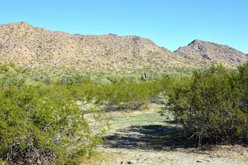 Winter San Tan Mountains Sonoran Desert Arizona