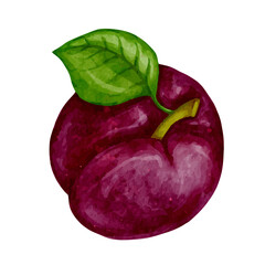 Ripe, juicy plum. Vector graphics.