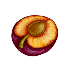 Ripe, juicy plum. Vector graphics.