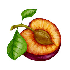 Ripe, juicy plum. Vector graphics.