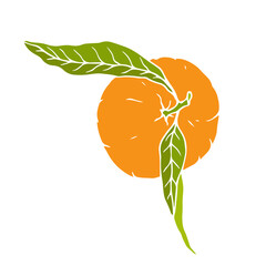 Ripe tropical mandarin fruit. Vector graphics.