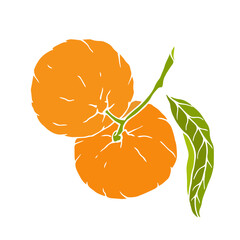 Ripe tropical mandarin fruit. Vector graphics.