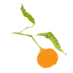 Ripe tropical mandarin fruit. Vector graphics.