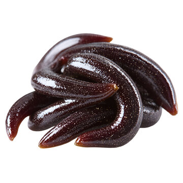 A pile of medicinal leeches on a white background