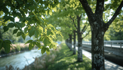 河川敷で新緑の木々が風にそよぎ光を透かす静かな朝