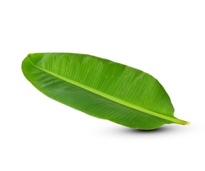 Obraz premium green banana leaf isolated on white background