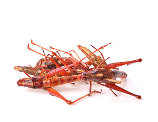 Heap of fried grasshopper isolated on white background