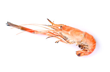 grill shrimp isolated on white background top view.