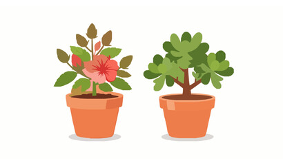 Cute Cartoon Indoor Plant Duo Vector with Hibiscus Blossom and Jade Succulent in Terracotta Pots © Sova