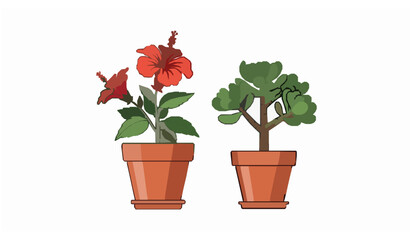 Flat Vector Set of Hibiscus Flower Plant and Jade Succulent in Terracotta Pots Isolated on White © Sova