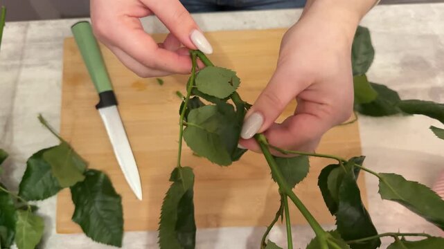Blonde florist arranging pink spray rose bouquet, cleaning stems and removing leaves, creating floral composition in glass vase at cozy home интерьер, handmade flower arrangement process.