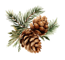 Watercolor depiction of two pinecones nestled with green evergreen foliage, detailed