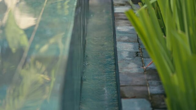 Overflow of tropical infinity swimming pool with water moving through gutter lined by green plants
