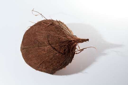 Coconut with shadow isolated with white background