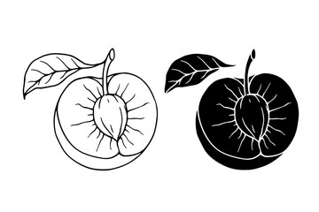 Line sketch, silhouette of a seasonal plum fruit. Vector graphics.