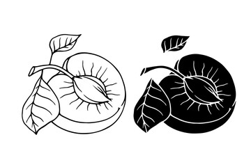 Line sketch, silhouette of a seasonal plum fruit. Vector graphics.