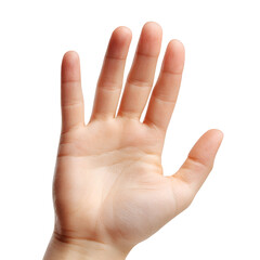 Open human hand showing five fingers and palm against white background