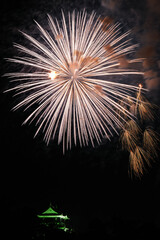 岡崎城下家康公夏まつり