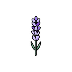 Obraz premium Minimalist illustration of a lavender sprig, featuring purple florets on a green stem, on black