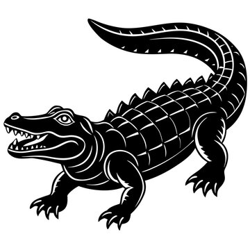Alligator Scales Drawing