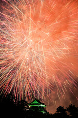 岡崎城下家康公夏まつり