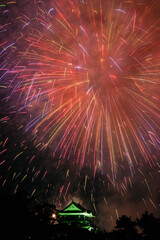 岡崎城下家康公夏まつり