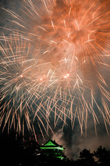 岡崎城下家康公夏まつり