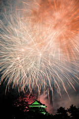 岡崎城下家康公夏まつり