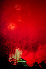 岡崎城下家康公夏まつり