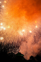 岡崎城下家康公夏まつり