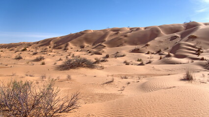 Large sand dunes surrounding a valley in the Sahara Desert, outside of Douz, Tunisia