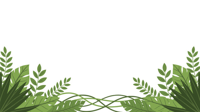 Lush green jungle foliage and vines form a tropical border at the bottom for various nature and vacation layouts.