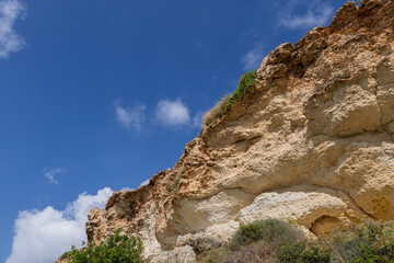 Coastal Cliff In Malta Island