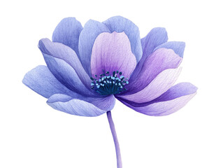 Delicate watercolor rendering of a single, ethereal, blue and purple flower, black backdrop