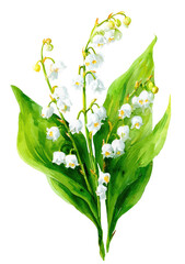Watercolor illustration of lily of the valley flowers with green leaves