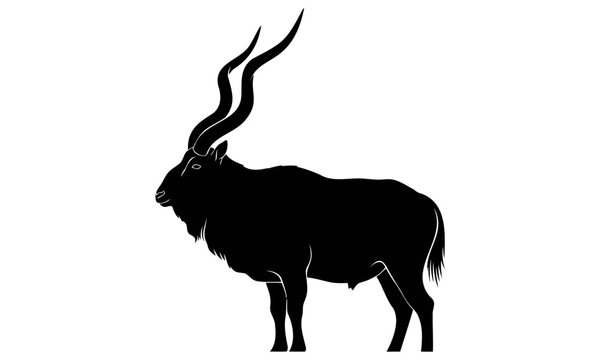 Markhor Silhouette Side View &ndash; Wild Mountain Goat with Spiral Horns Vector EPS