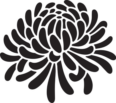 Black and white stylized chrysanthemum flower petals