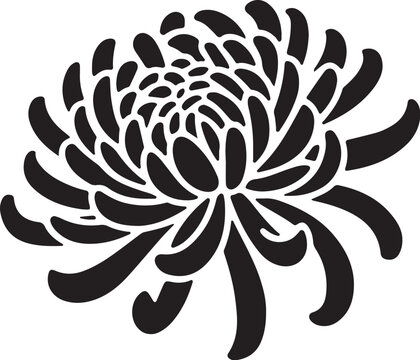 Black and white stylized chrysanthemum flower petals