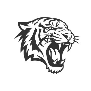 Detailed tiger head vector with aggressive roaring expression. High-contrast black and white illustration ideal for team logos and apparel print.