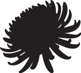 Fototapeta premium Black Silhouette of a Flower with Petals Radiating Outward