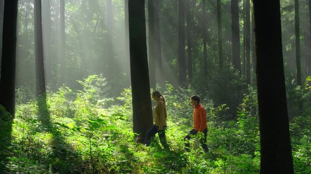 Two hikers in a green forest stopping to watch the beautiful majestic sunbeams in the mist