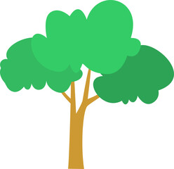 tree, plant, leaf (7)