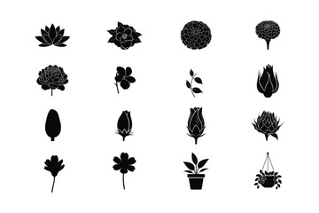 set of black and white flowers