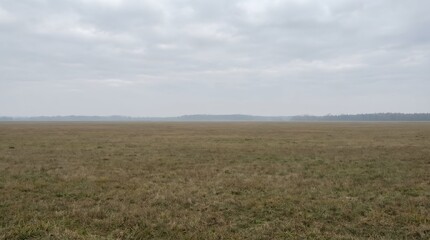 Open Grassland Under Cloudy Sky