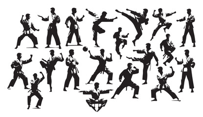 martial art or karate silhouettes illustration japan china © Tcom