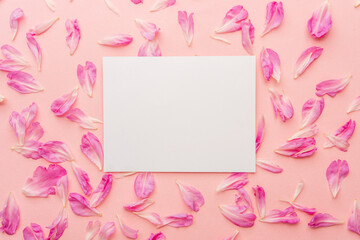 White blank card on pastel pink background surrounded by pink flower petals