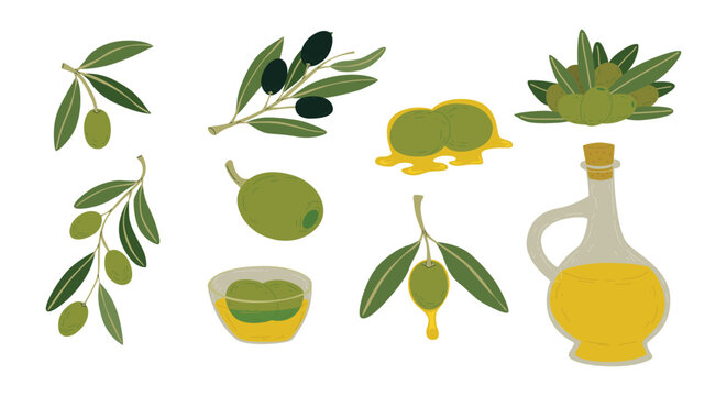 Organic Olive Fruit Illustration Set, Olive Oil Bottle, and Green Leaves Branches Vector Pack in Hand-Drawn Style for Mediterranean Food Design.