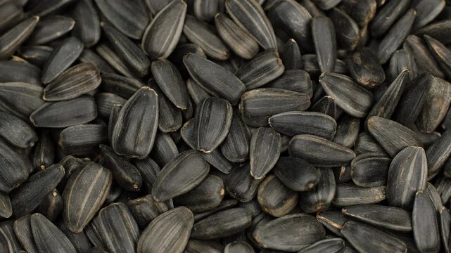Heap of black sunflower seeds, rotate. Organic food and healthy snack concept