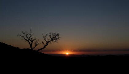 美しい夕日、一本の木と地平線
Beautiful Sunset with a Lone Tree and Horizon
