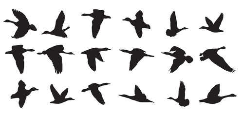 goose silhouette icons silhouette goose on white  © Dokzp